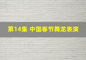 第14集 中国春节舞龙表演